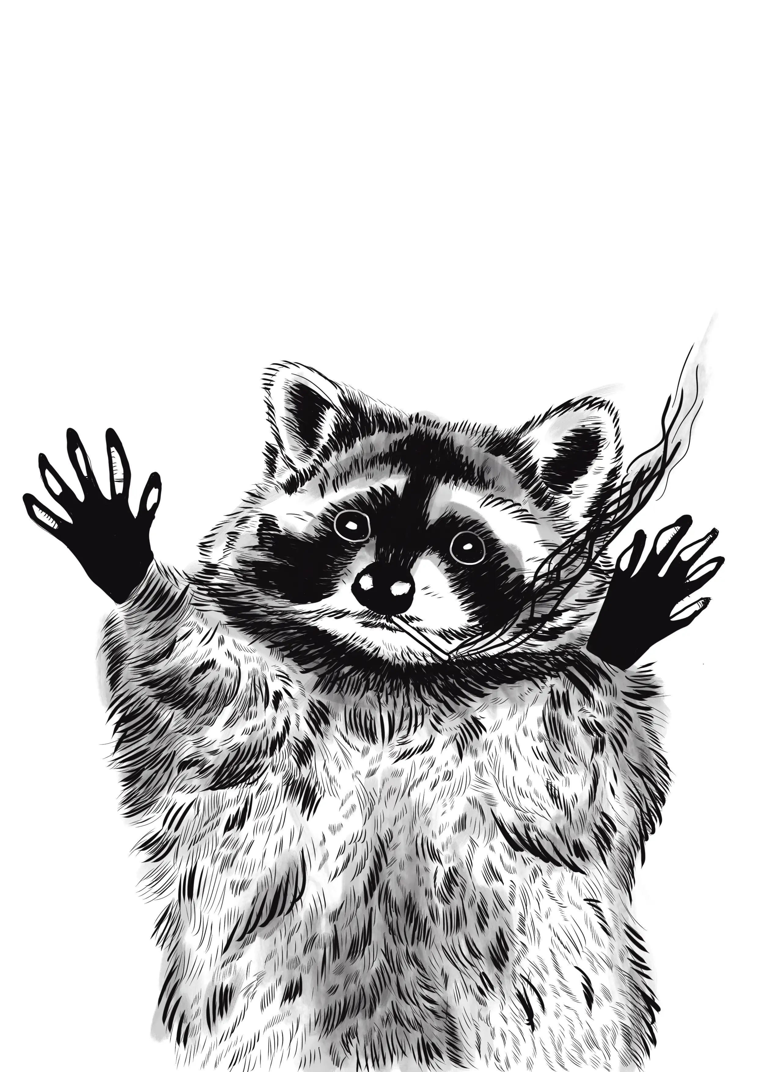 Ink portrait of a raccoon with a lit cigarette clenched in its teeth. Art by RKV.