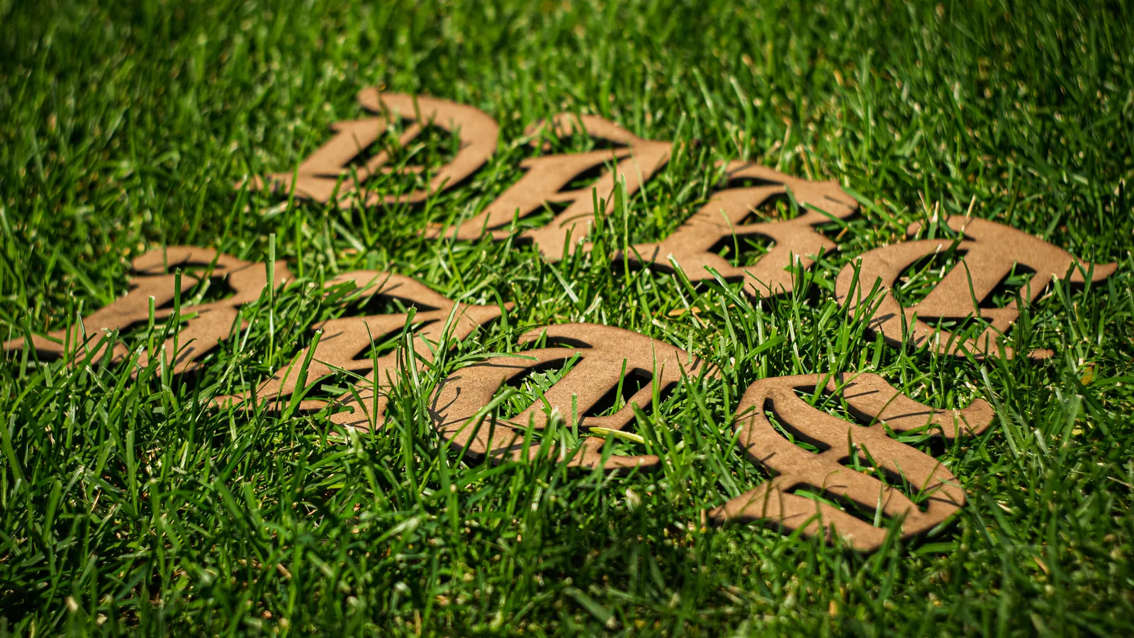 The Dart Rats logo cut from wood, lying in grass